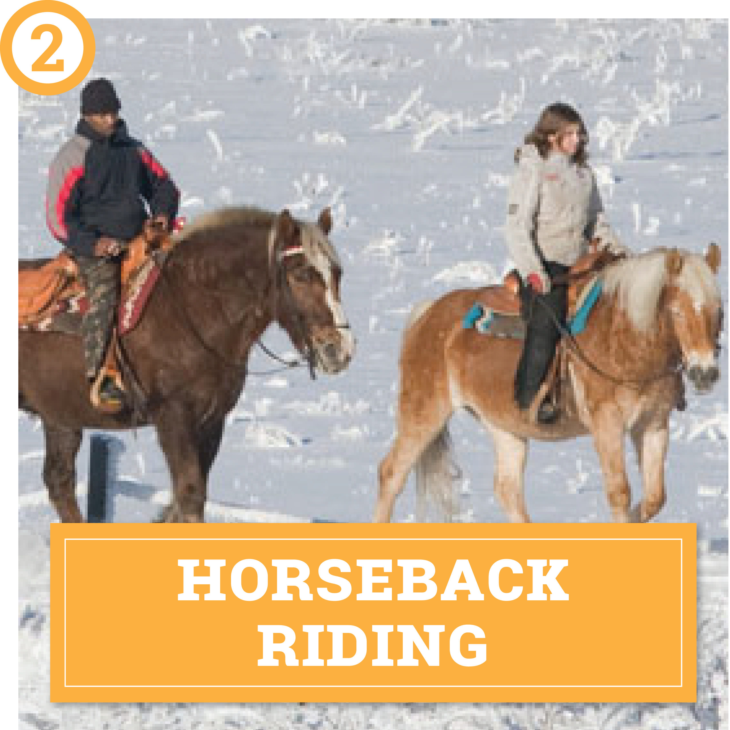 choose your own winter adventure