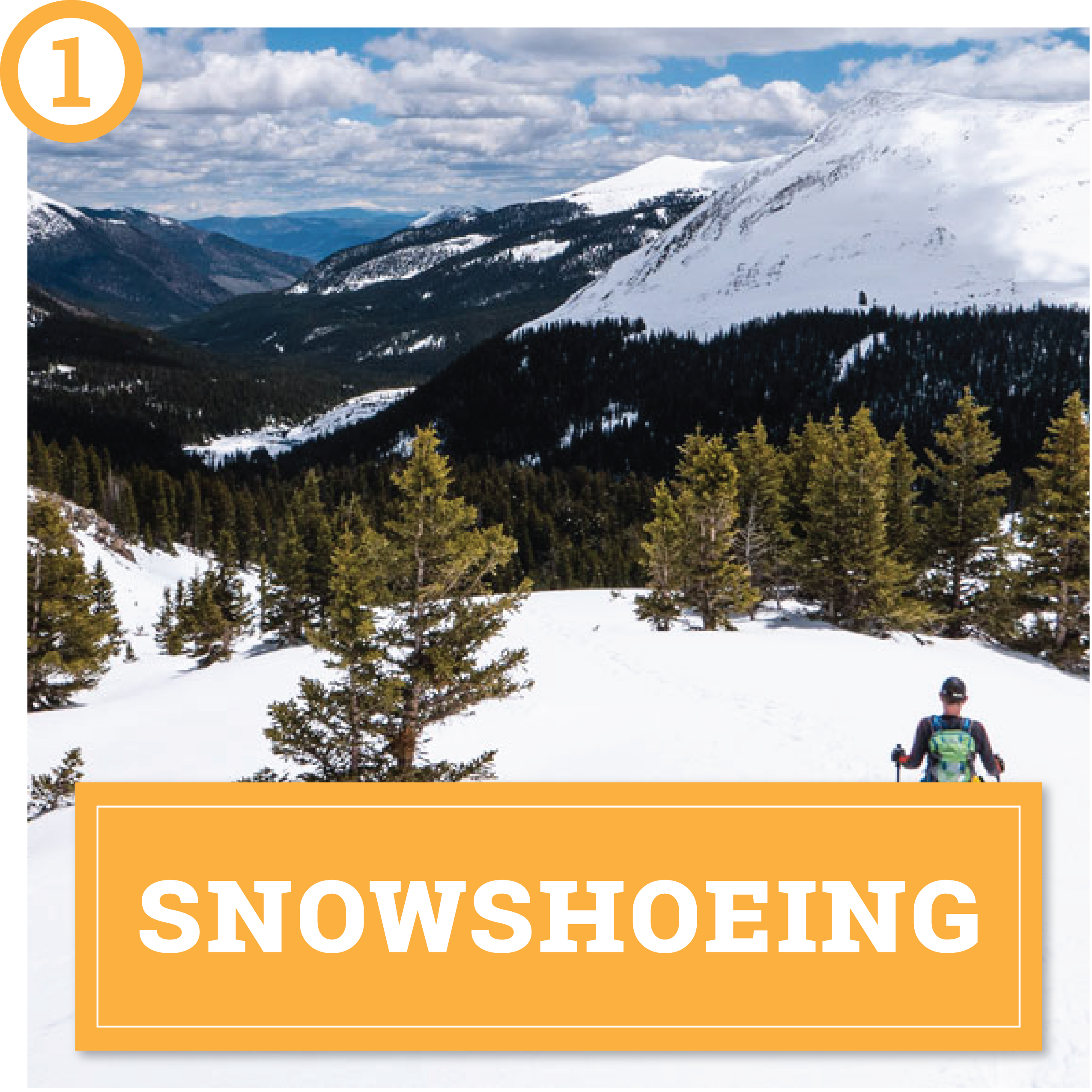choose your own winter adventure