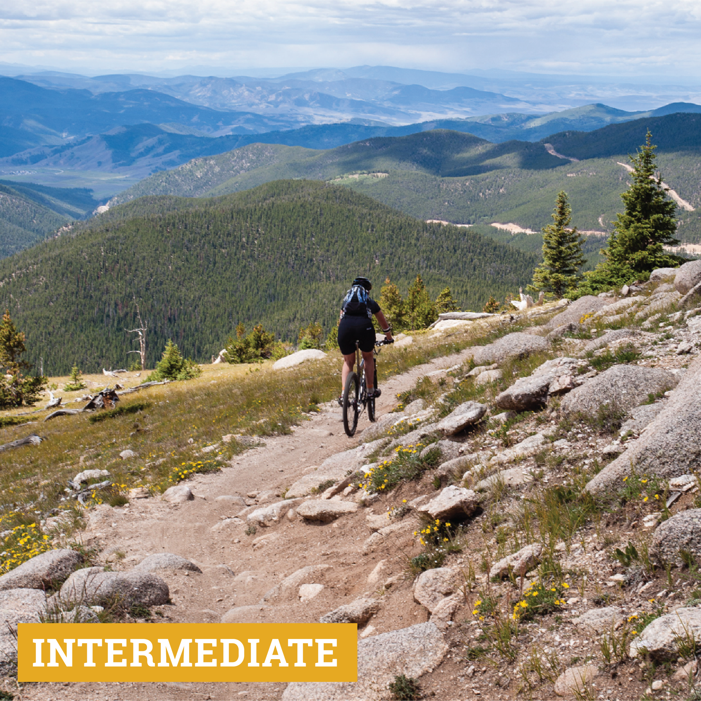mountain biking