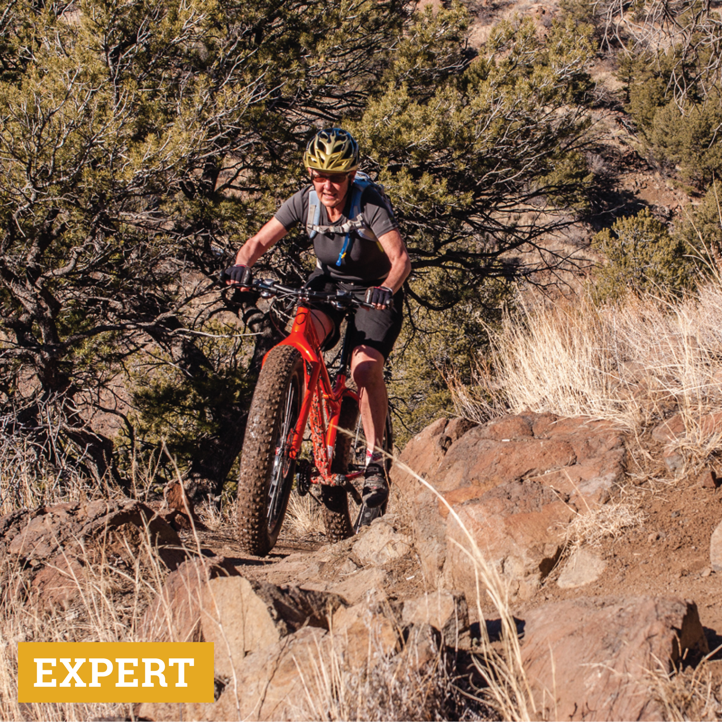 mountain biking