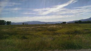 centerville loop