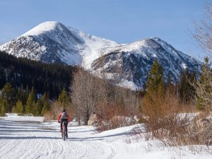 cottonwood pass summit
