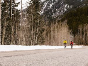 cottonwood pass summit