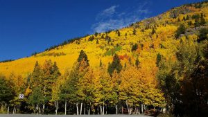 monarch pass summit