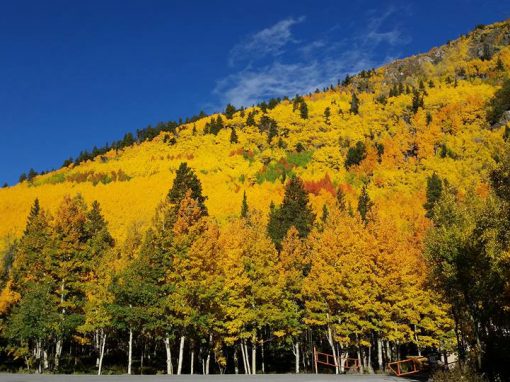 Monarch Pass Summit