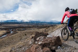 lookout loop
