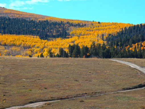 Aspen Ridge to Chinaman Gulch