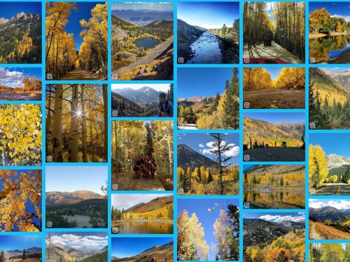 Autumn Photo Gallery