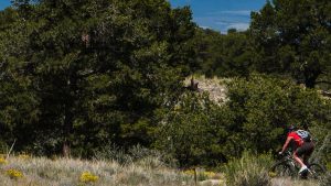 bear creek west to methodist mountain