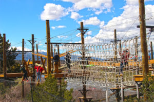 Aerial Adventure Parks