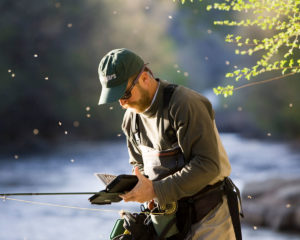 Caddis Fly Hatch Arkansas River