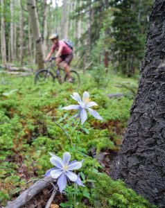 Cycling Buena Vista & Salida, Colorado