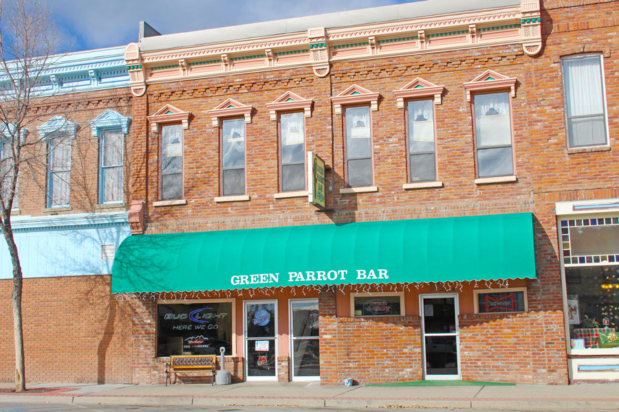 Green Parrot Bar