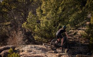 gulch loop