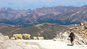 Hiking Mount Antero