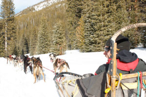Monarch Dog Sled Tours