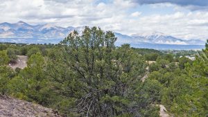 methodist mountain west to poncha pass